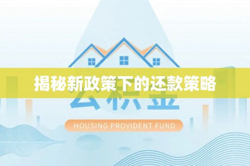防城港揭秘新政策下的还款策略