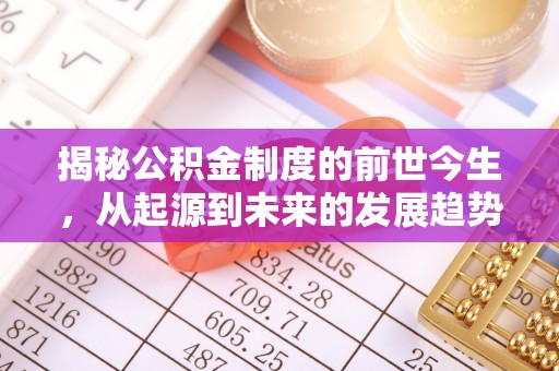 防城港揭秘公积金制度的前世今生，从起源到未来的发展趋势