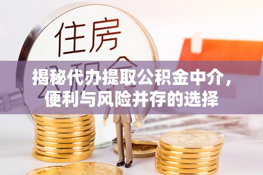 防城港揭秘代办提取公积金中介，便利与风险并存的选择