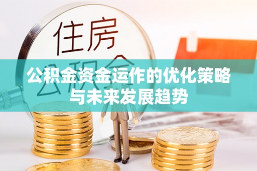 防城港公积金资金运作的优化策略与未来发展趋势