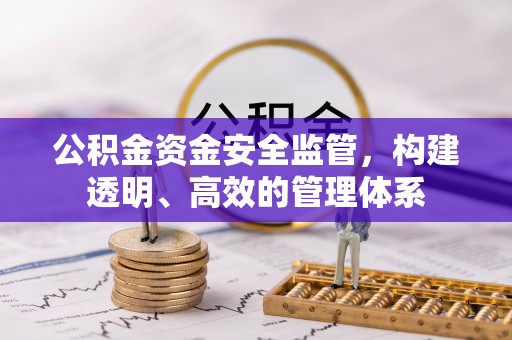 防城港公积金资金安全监管，构建透明、高效的管理体系