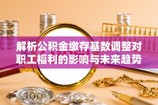 防城港解析公积金缴存基数调整对职工福利的影响与未来趋势