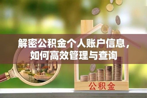 防城港解密公积金个人账户信息，如何高效管理与查询