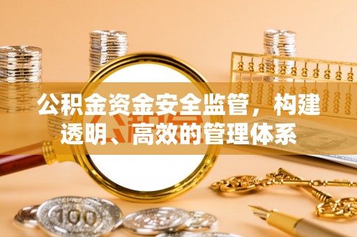 防城港公积金资金安全监管，构建透明、高效的管理体系