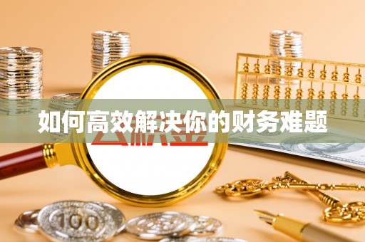 防城港如何高效解决你的财务难题