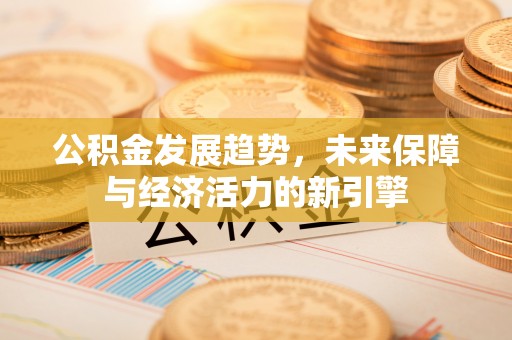 防城港公积金发展趋势，未来保障与经济活力的新引擎