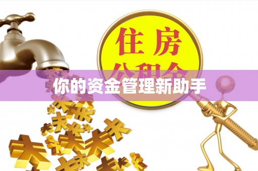 防城港你的资金管理新助手