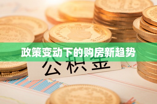 防城港政策变动下的购房新趋势