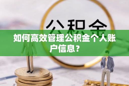 防城港如何高效管理公积金个人账户信息？