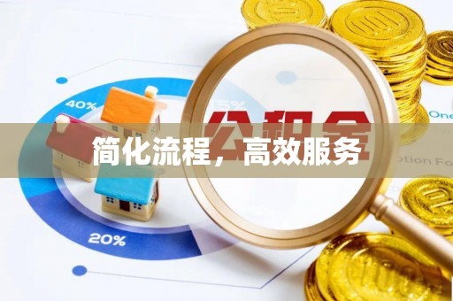 防城港简化流程，高效服务