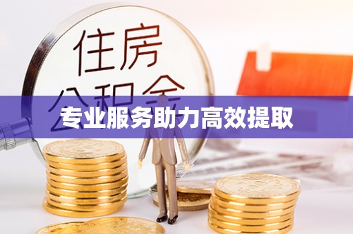 防城港专业服务助力高效提取