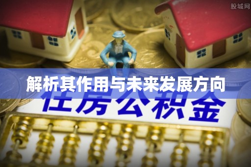 防城港解析其作用与未来发展方向