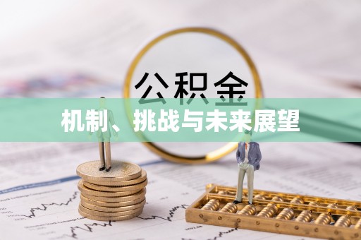 防城港机制、挑战与未来展望