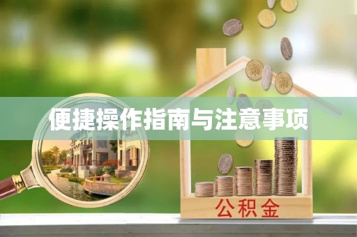 防城港便捷操作指南与注意事项