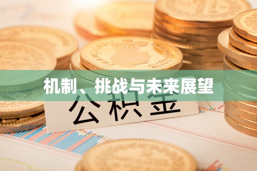 防城港机制、挑战与未来展望